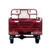 SL200ZH-D1 دراجة ثلاثية العجلات