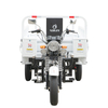 SL200ZH-S1 دراجة ثلاثية العجلات